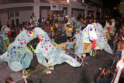 Fantasy Fest Parade 2004 photo - Duval Street, Key West